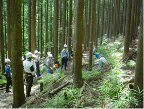 先生のための森林環境教育セミナーの状況