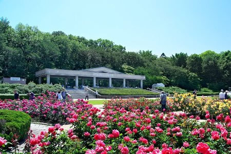 Jindai Botanical Gardens